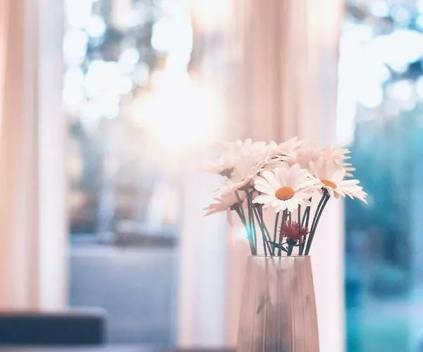 Hapsal Spa Villas Haapsalu