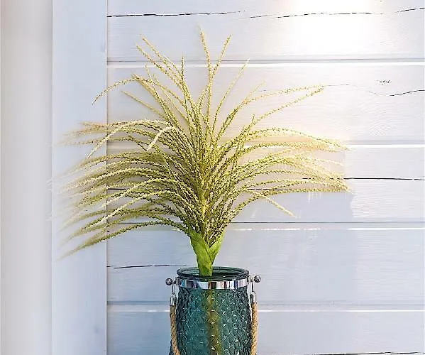 Villa Hapsal Spa Villas Haapsalu